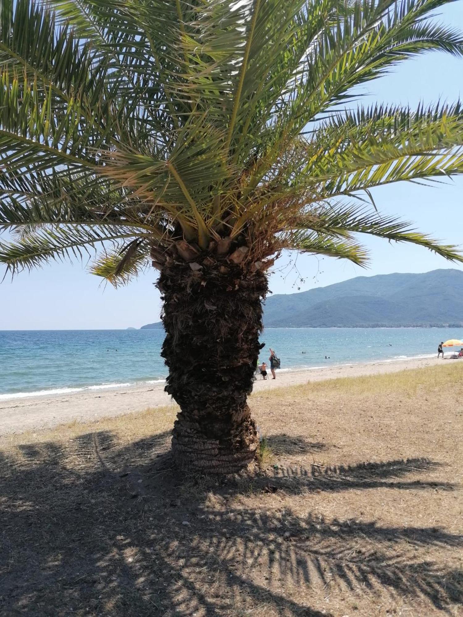Prime Luxury Villa Beach Front Vrasná المظهر الخارجي الصورة